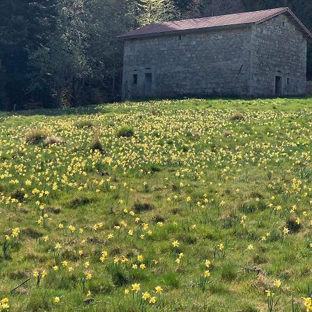 Gite " Oree Des Bois" Vertolaye Exterior foto