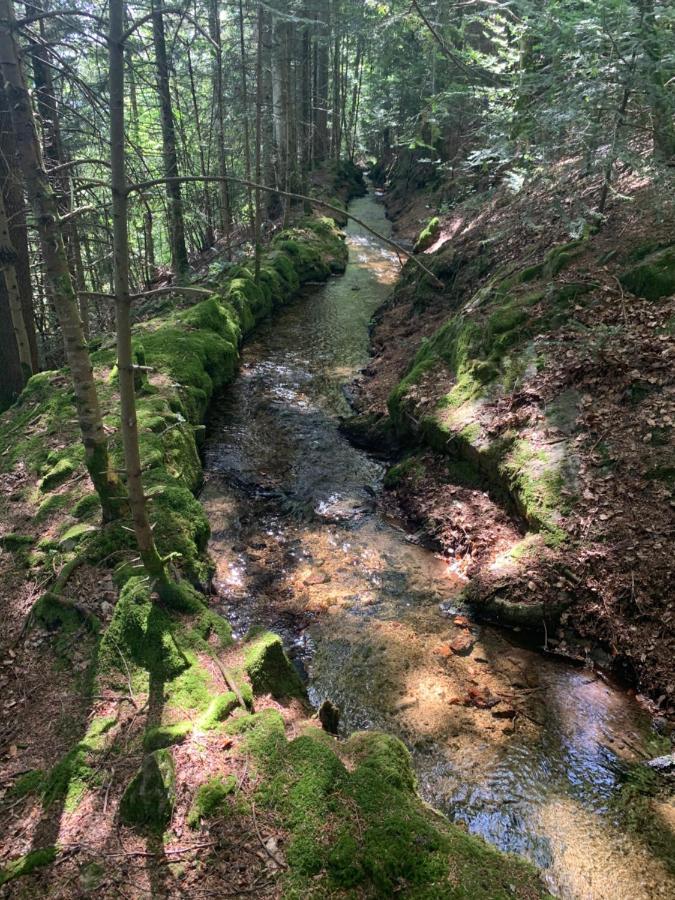 Gite " Oree Des Bois" Vertolaye Exterior foto